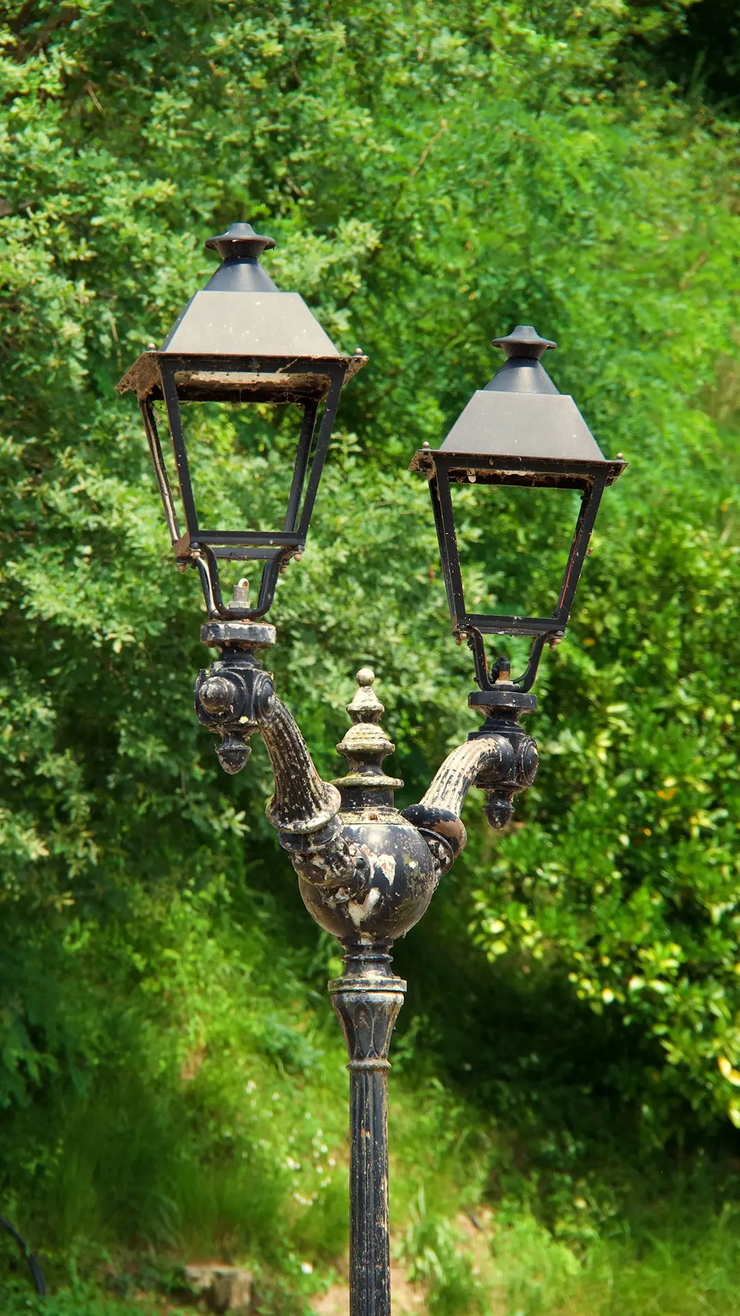 Image 17