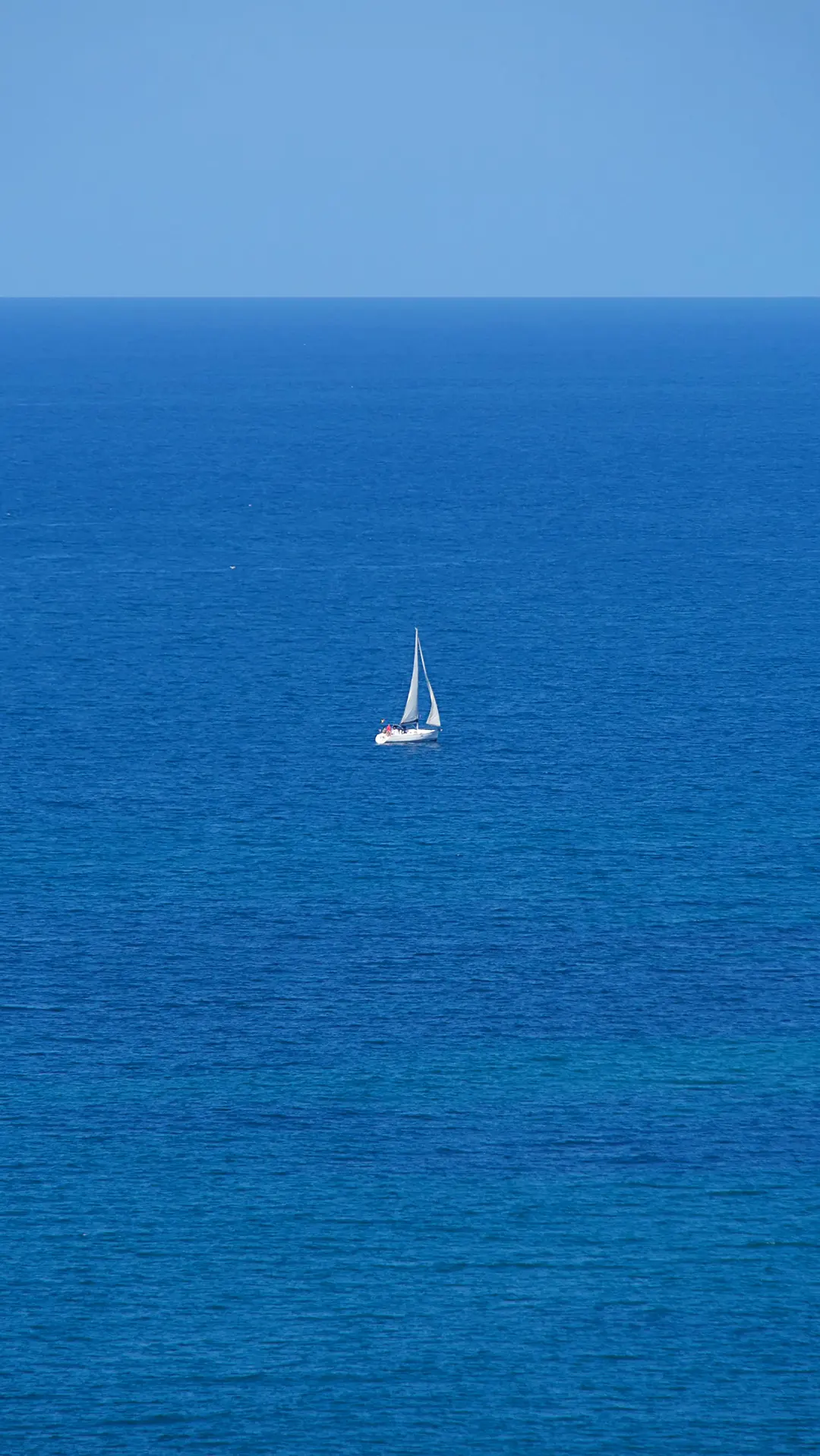 Image 31