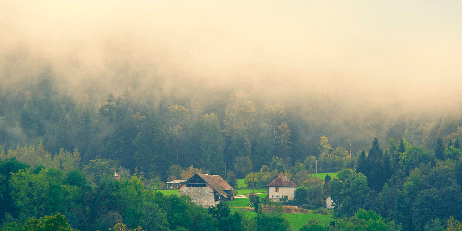 fog-project