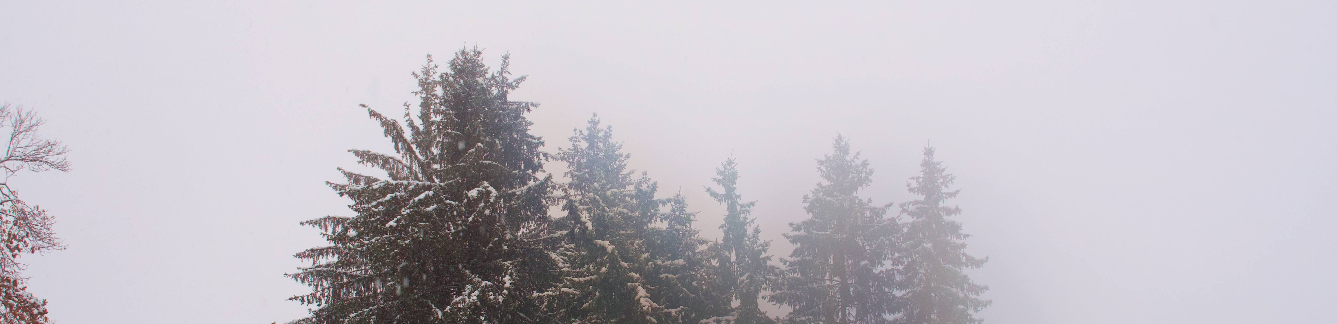 snow-project